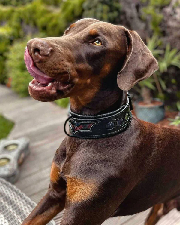 Halsband "Batman" – Bild 3