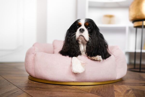 Designbett "Camelia" – Bild 2