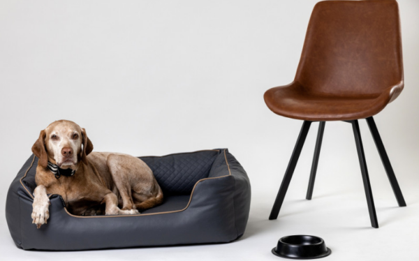 Hundebett "LUX" + Hundedecke – Bild 3