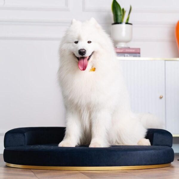 Designbett "Nobu" – Bild 4
